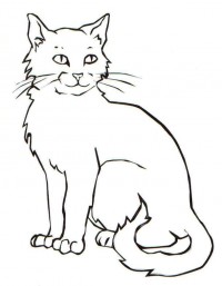 cat coloring pages for kids