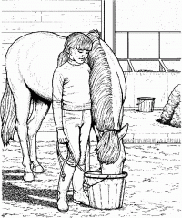 horse coloring pictures