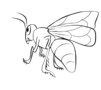 honey bee coloring page printable