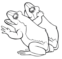 free frog coloring pages