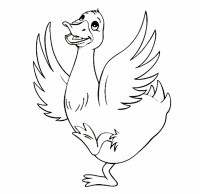 duck coloring sheets
