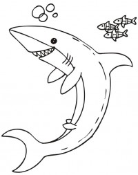 shark coloring sheets