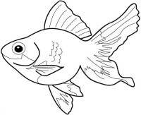 realistic fish coloring pages