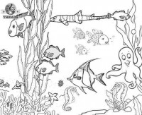 ocean fish coloring pages